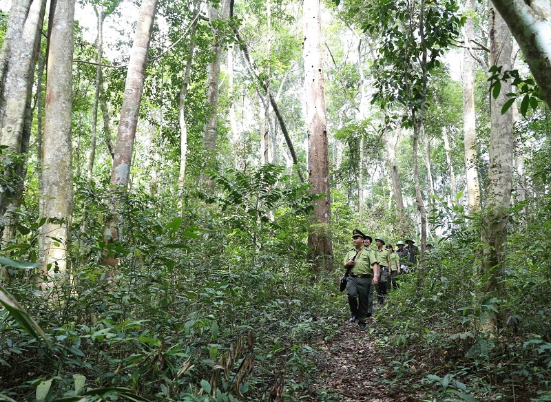 Phát huy hiệu quả phần mềm lập phương án quản lý rừng bền vững