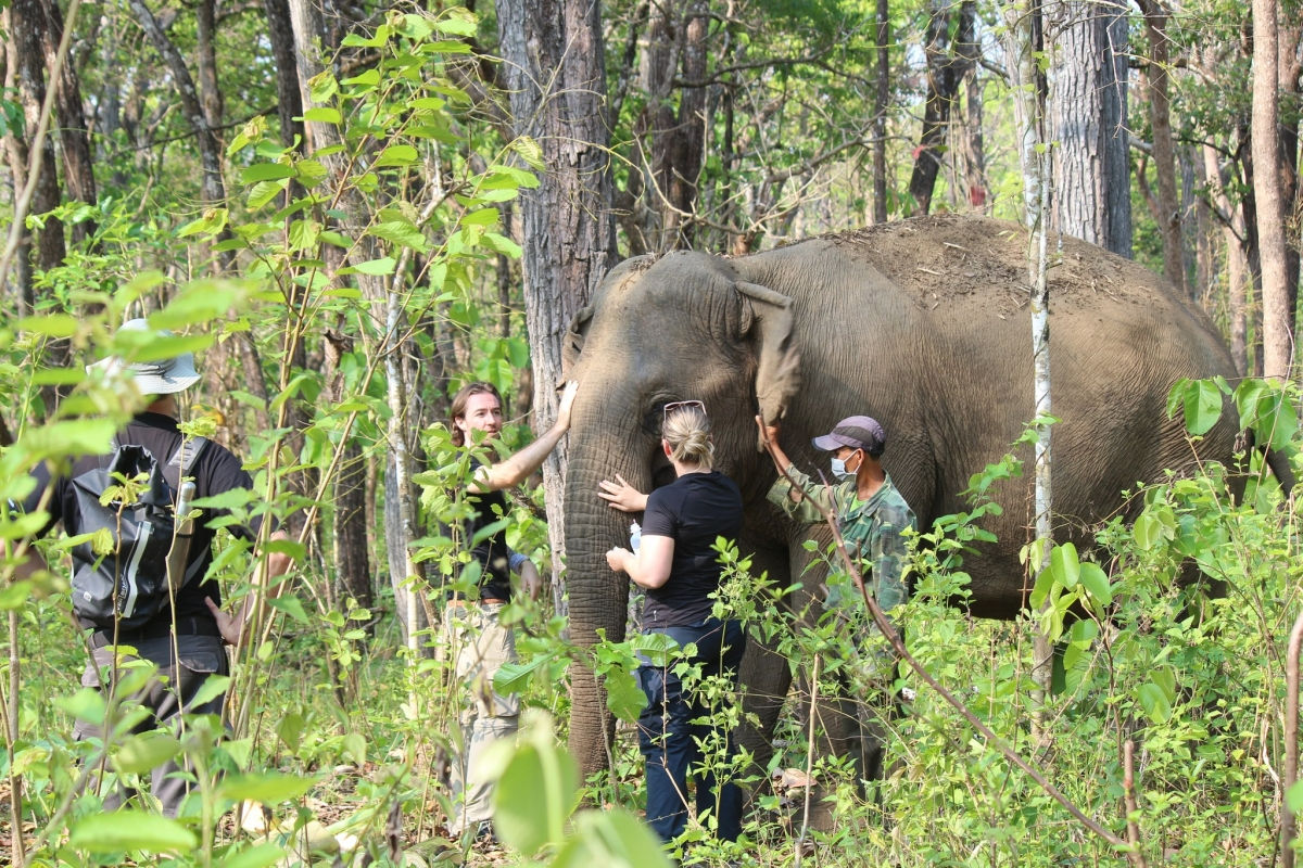 Tăng cường bảo vệ động vật hoang dã trong phát triển du lịch