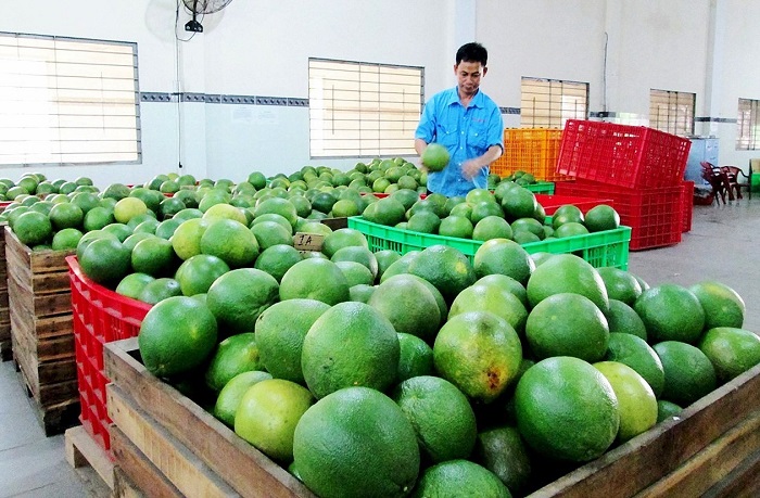 Thúc đẩy tiềm năng, cơ hội cho nông sản Việt tại các thị trường lớn