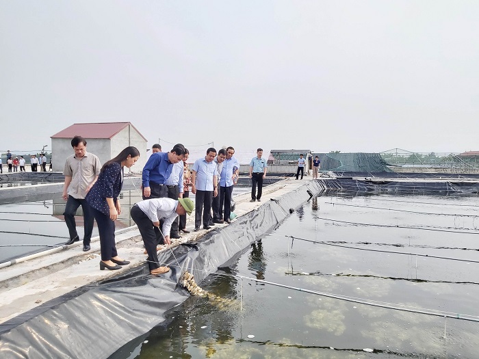 Thúc đẩy nuôi trồng thủy sản ven biển theo hướng hàng hóa, công nghiệp