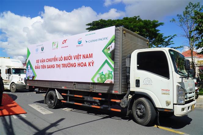 Xuất khẩu lô bưởi đầu tiên sang thị trường Hoa Kỳ