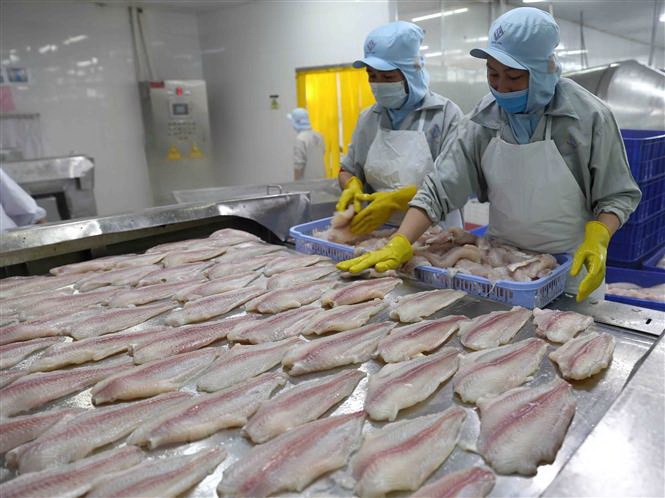 Khai thác tiềm năng xuất khẩu thủy sản Việt Nam sang thị trường RCEP