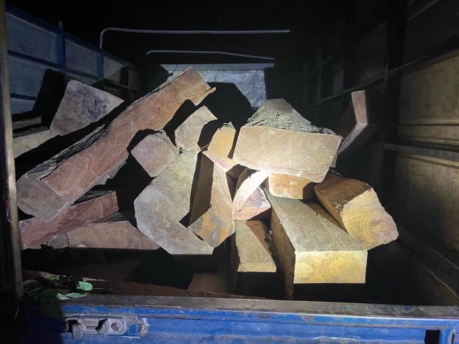 Điều tra làm rõ vụ vận chuyển hai tấn gỗ hương tía không rõ nguồn gốc
