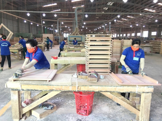 Xây dựng vùng nguyên liệu gỗ phục vụ sản xuất, chế biến gỗ xuất khẩu