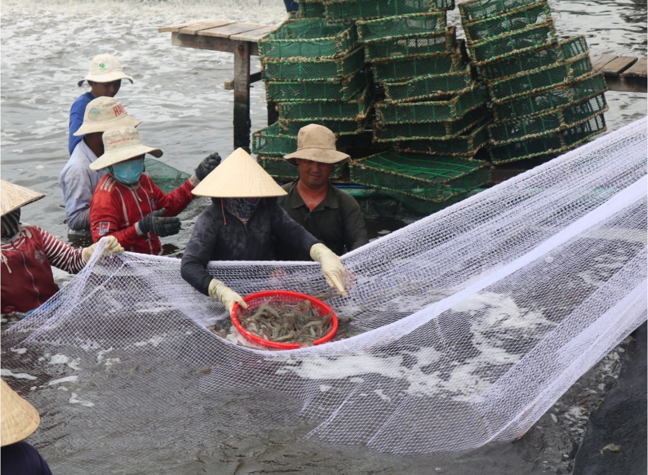 Thông báo tạm ngừng đánh cá của Trung Quốc trên vùng biển Việt Nam không có giá trị