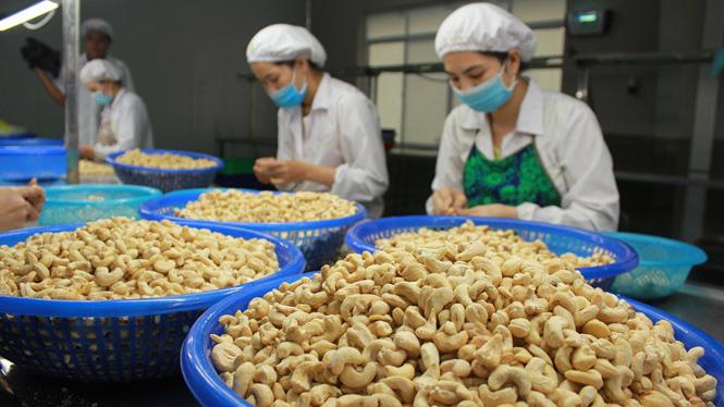 Xuất khẩu nông lâm thủy sản 4 tháng đầu năm tăng 15,6%