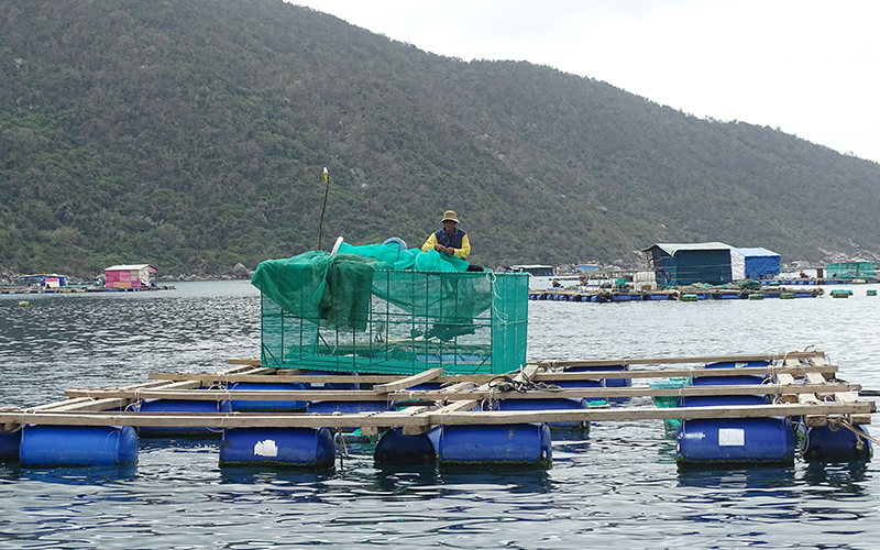 Đẩy mạnh phát triển nuôi trồng thủy sản trên biển