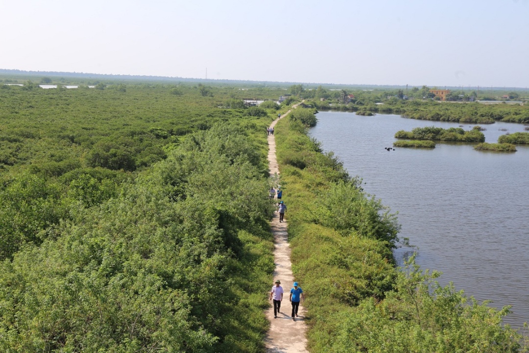 Bảo tồn đa dạng sinh học tại Khu Ramsar đầu tiên của Việt Nam