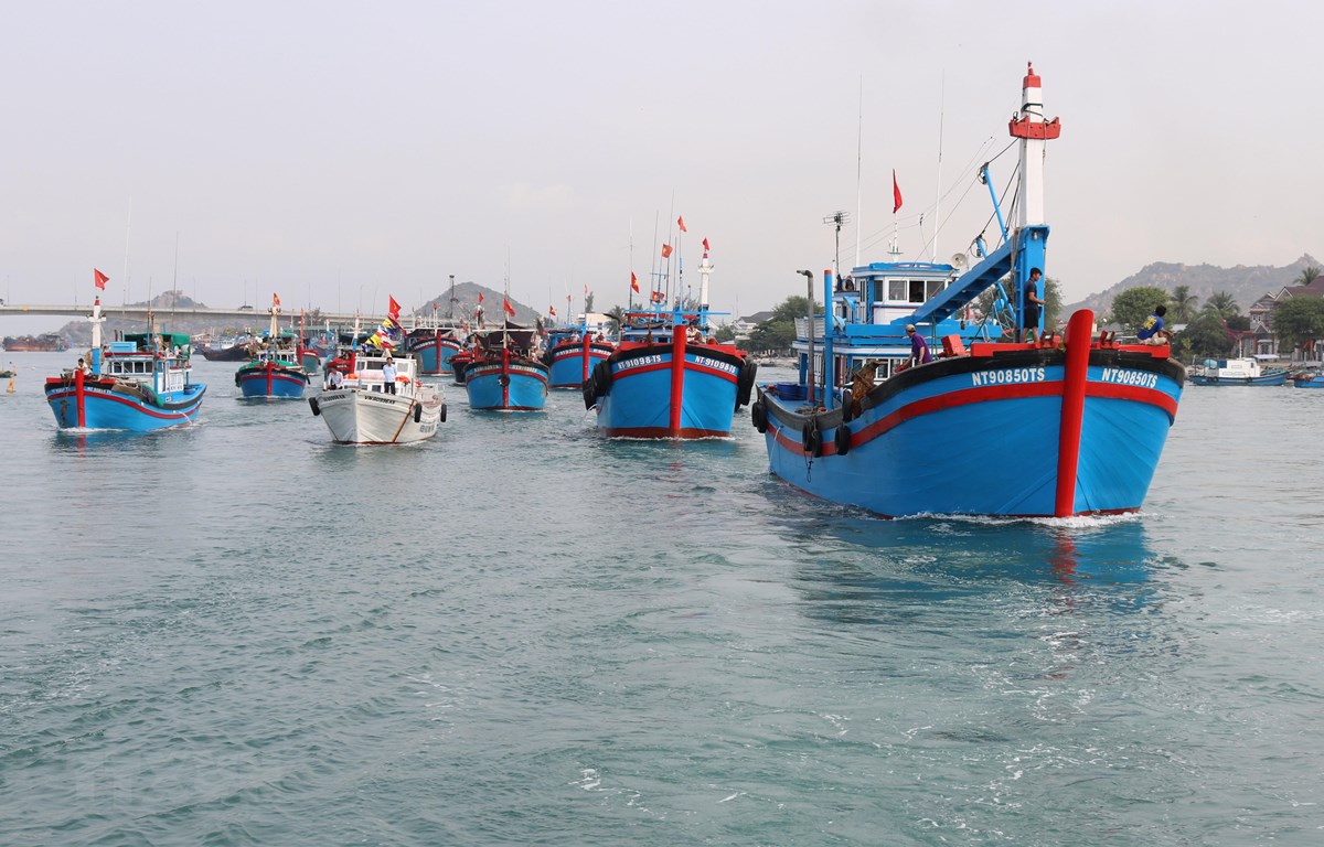 Phát triển bền vững nghề khai thác hải sản