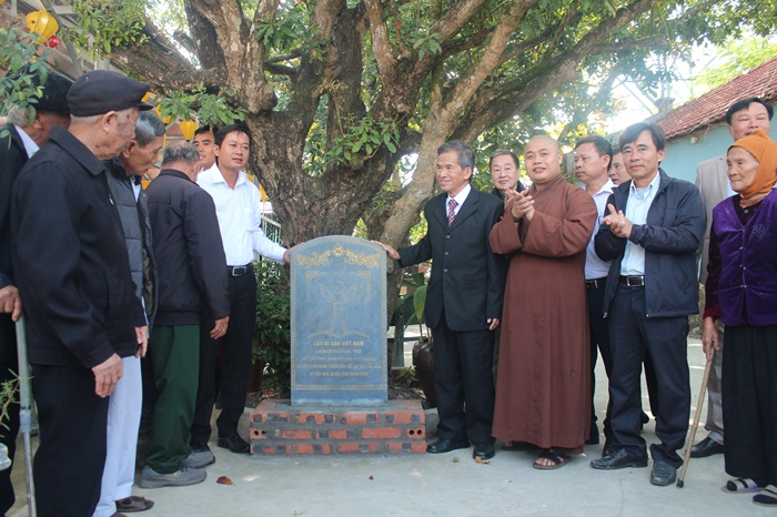 Ninh Bình: 4 cây cổ thụ trên 200 năm được công nhận Cây Di sản Việt Nam
