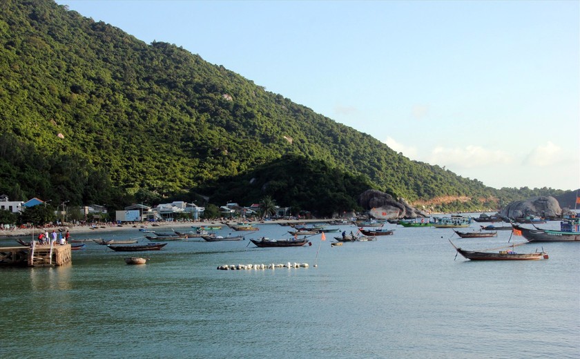 Bảo tồn đa dạng sinh học biển Cù Lao Chàm
