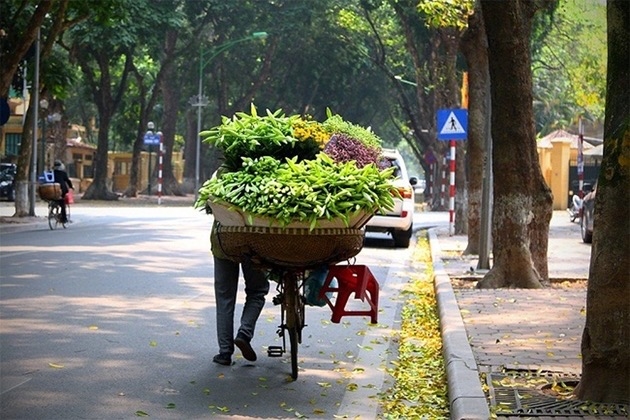 Tin thời tiết ngày 24/11: Bắc Bộ rét về đêm và sáng, Nam Bộ mưa dông