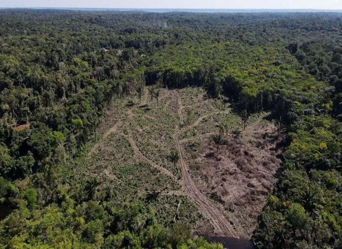 Hội nghị COP28: Brazil đề xuất lập quỹ bảo tồn rừng nhiệt đới