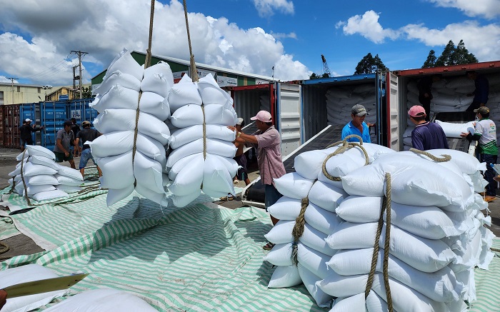 Xuất khẩu gạo dự báo tiếp tục tăng trưởng trong năm 2024