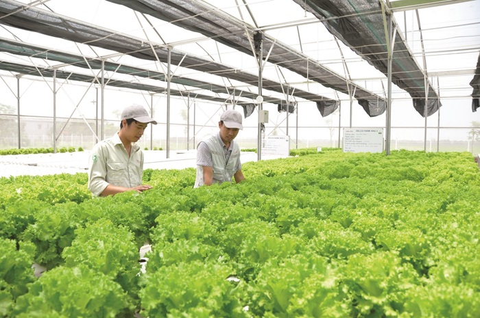 TP.HCM hướng tới mục tiêu trở thành trung tâm nông nghiệp công nghệ cao