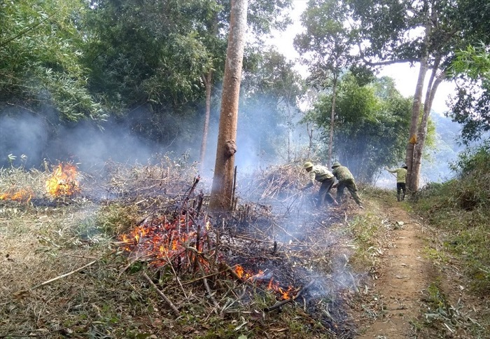 Gia Lai chủ động phòng, chống cháy rừng trong cao điểm mùa khô