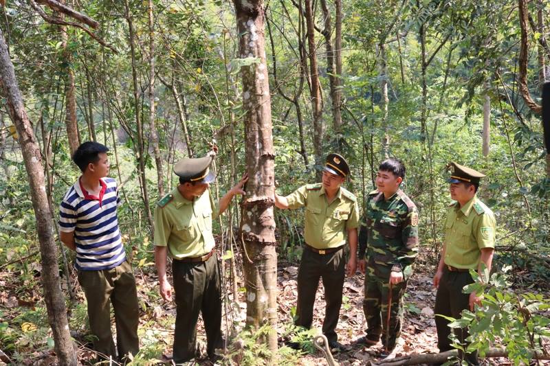 Đẩy mạnh công tác bảo vệ rừng tại khu vực giáp ranh