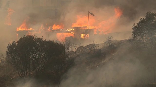 Hơn 50 người thiệt mạng do cháy rừng ở Chile