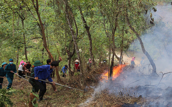 Lai Châu tăng cường công tác phòng cháy, chữa cháy rừng