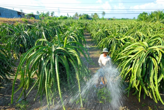 Đảm bảo nguồn nước phục vụ sản xuất nông nghiệp trong mùa khô