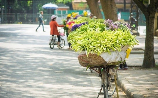 Tin thời tiết ngày 9/12: Bắc Bộ rét về đêm và sáng, ngày nắng