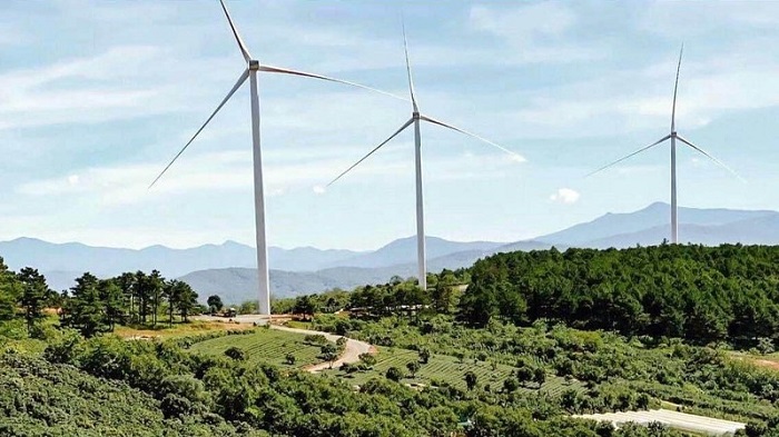 Chiếm đất nông nghiệp, chủ đầu tư điện gió Cầu Đất bị phạt 225 triệu đồng