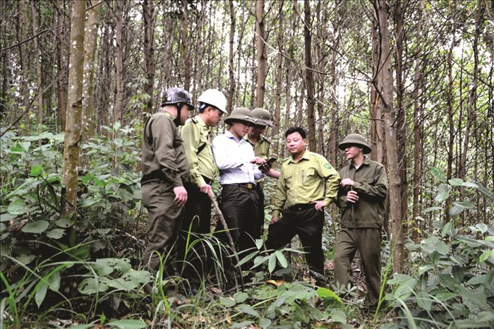 Ứng dụng khoa học công nghệ trong quản lý, bảo vệ rừng