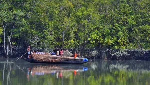 Bangladesh cấm đồ nhựa dùng một lần tại khu rừng Di sản thế giới