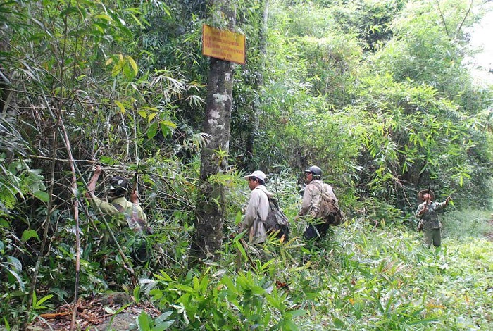 Triển khai nhiều giải pháp trong phát triển, bảo vệ rừng