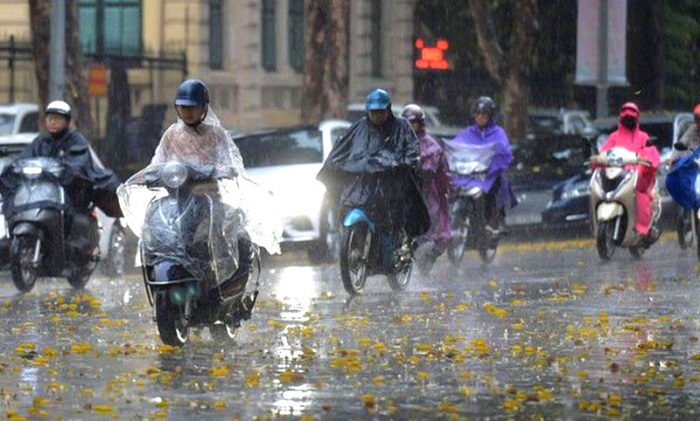 Tin thời tiết ngày 12/3: Bắc Bộ, Bắc Trung Bộ chuyển mưa rét từ chiều tối nay