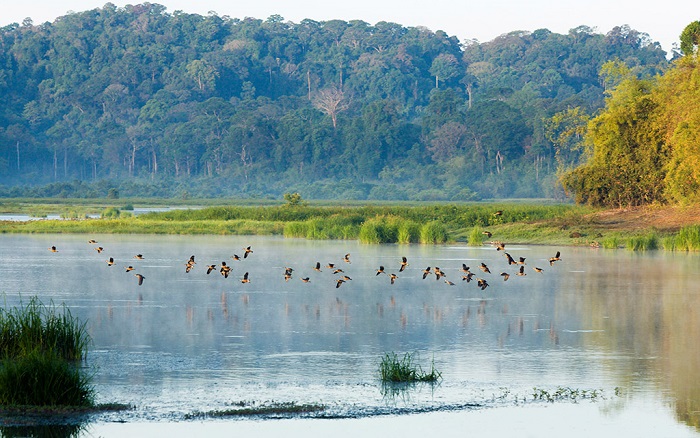 Khai thác giá trị gắn với bảo tồn đa dạng sinh học tại vùng đất ngập nước
