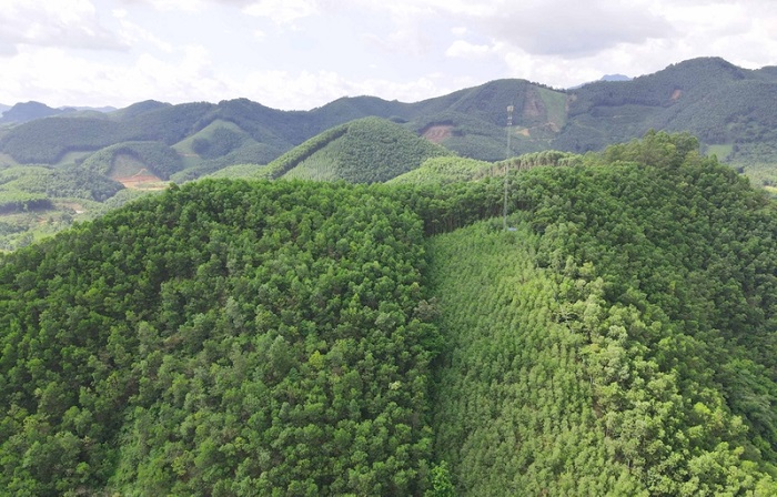 Bảo vệ rừng gắn với ổn định, phát triển sinh kế cho người dân