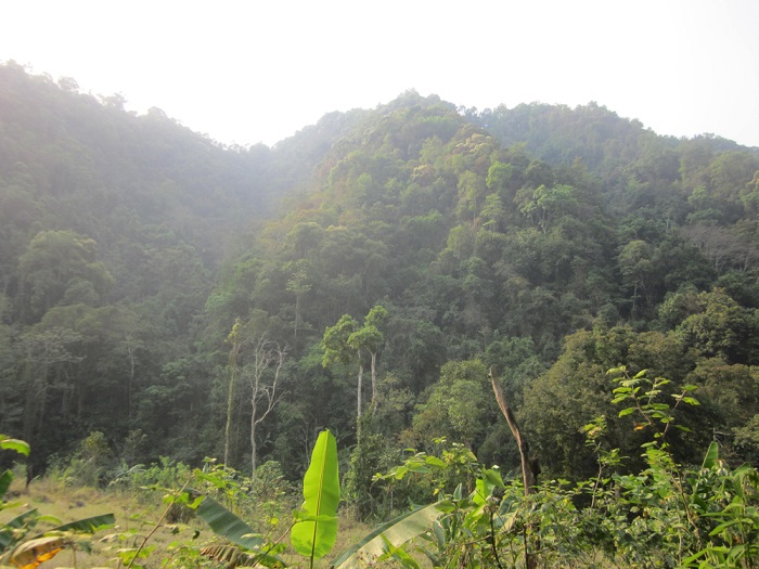 Bảo vệ rừng, đa dạng sinh học tại Khu bảo tồn thiên nhiên Mường Nhé