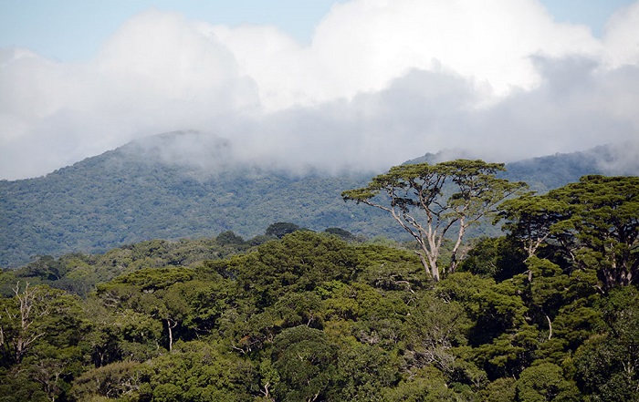 Bảo vệ đa dạng sinh học tại Khu dự trữ sinh quyển thế giới Langbiang