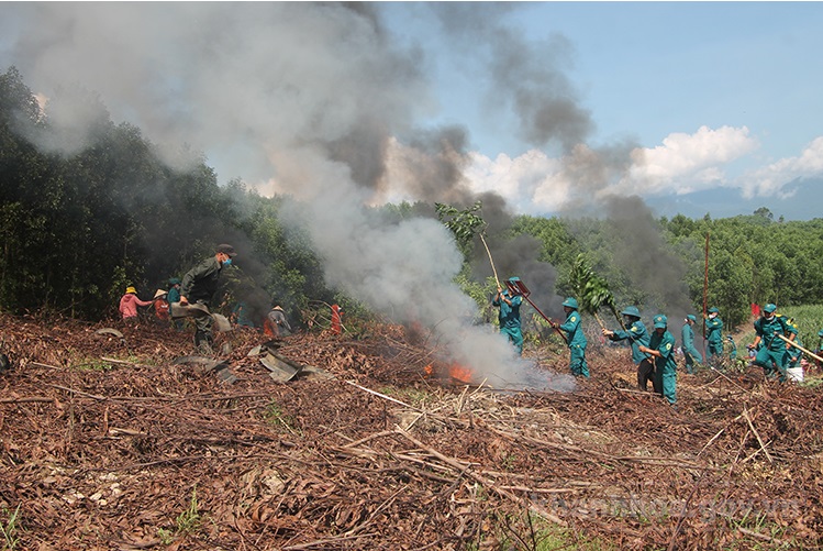 Bảo vệ, hạn chế thiệt hại do cháy rừng trong mùa khô