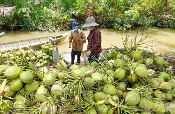 Xây dựng các chuỗi giá trị sản phẩm nông nghiệp chủ lực