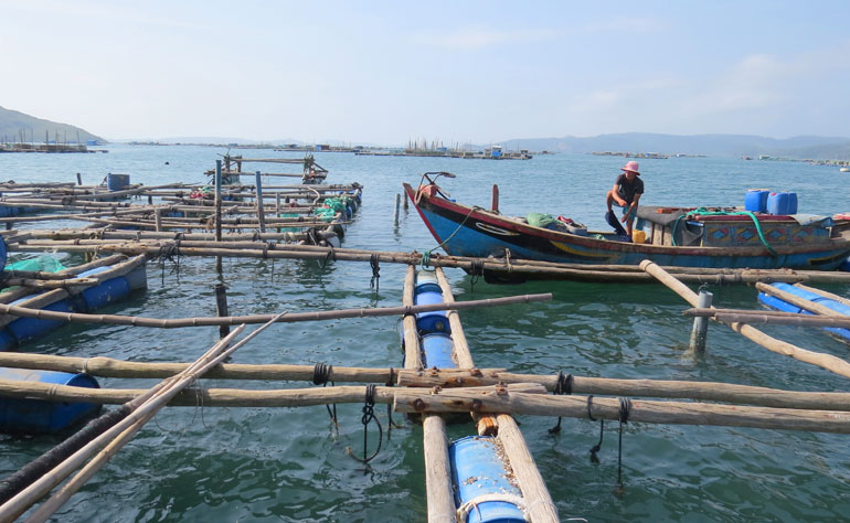 Kiểm soát, ngăn ngừa ô nhiễm môi trường trong nuôi trồng thủy sản