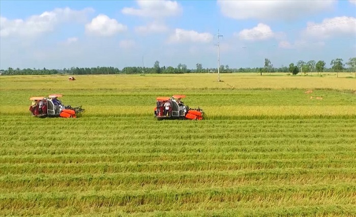 Thí điểm chuyển mục đích sử dụng đất trồng lúa quy mô dưới 500 ha