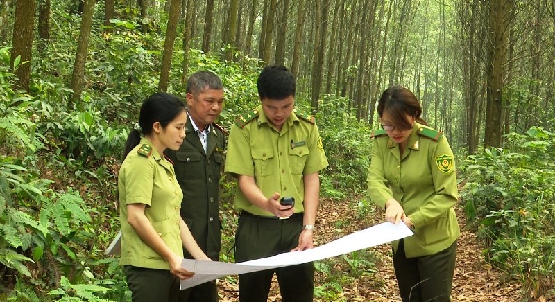 Ứng dụng công nghệ số trong quản lý, bảo vệ và phát triển rừng