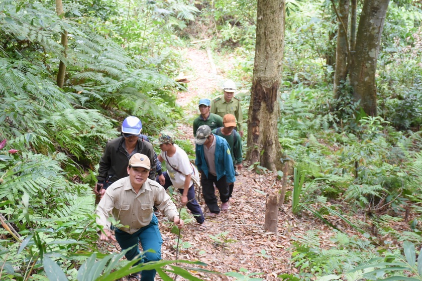 Tạo sinh kế bền vững để khuyến khích cộng đồng bảo vệ rừng