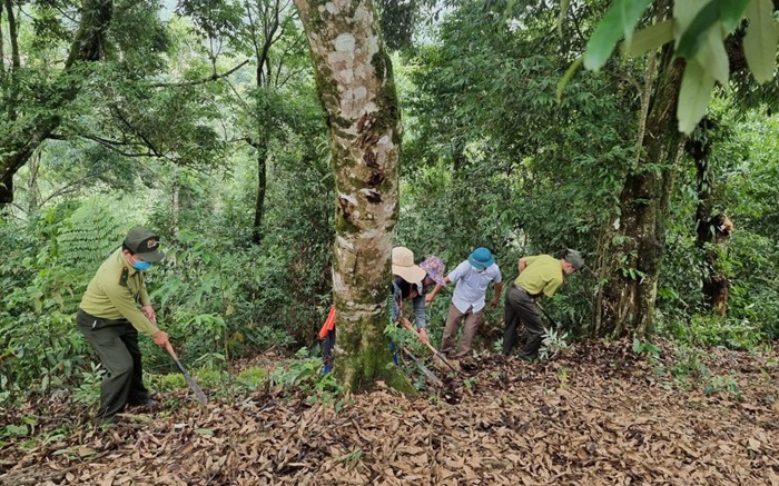 Hiệu quả từ mô hình cộng đồng tham gia quản lý, bảo vệ rừng