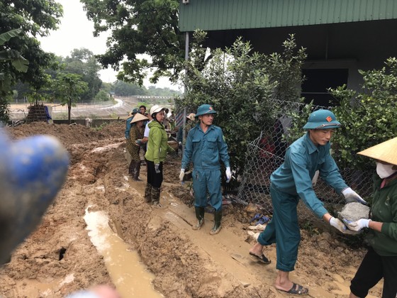 Hà Tĩnh: Khẩn trương gia cố bờ sông Ngàn Mọ sạt lở