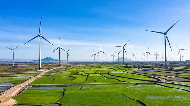 Chuyển đổi xanh góp phần xây dựng nguồn năng lượng bền vững