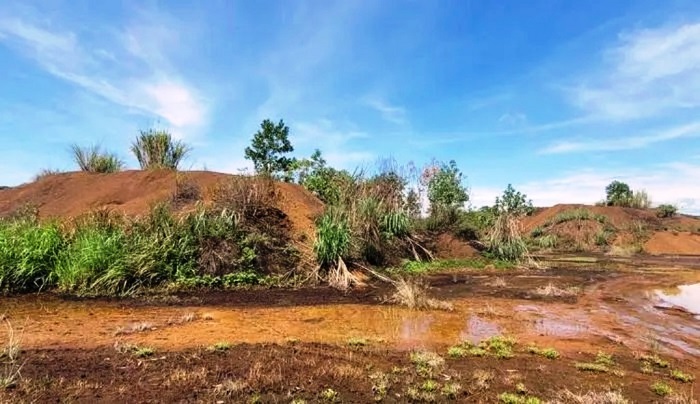 Hà Tĩnh: Cần giải quyết dứt điểm dự án tuyển quặng sắt bỏ hoang