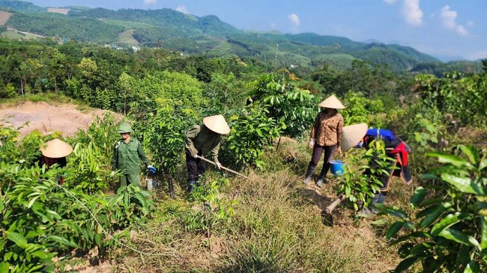 Bố trí đất ở, đất sản xuất cho đồng bào dân tộc thiểu số