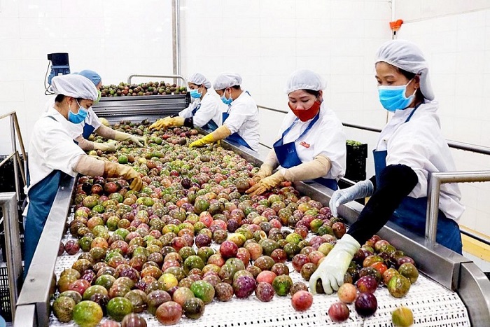 Thúc đẩy xuất khẩu nông sản chủ lực sang thị trường Trung Quốc