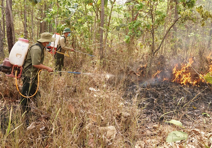 Chủ động các phương án bảo vệ, phòng chống cháy rừng mùa khô
