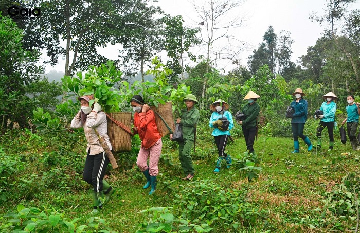Tiếp tục nâng cao hiệu quả công tác bảo vệ, phát triển và khai thác rừng