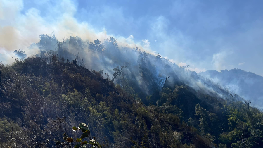 Lào Cai: Tăng cường các biện pháp phòng chống cháy rừng