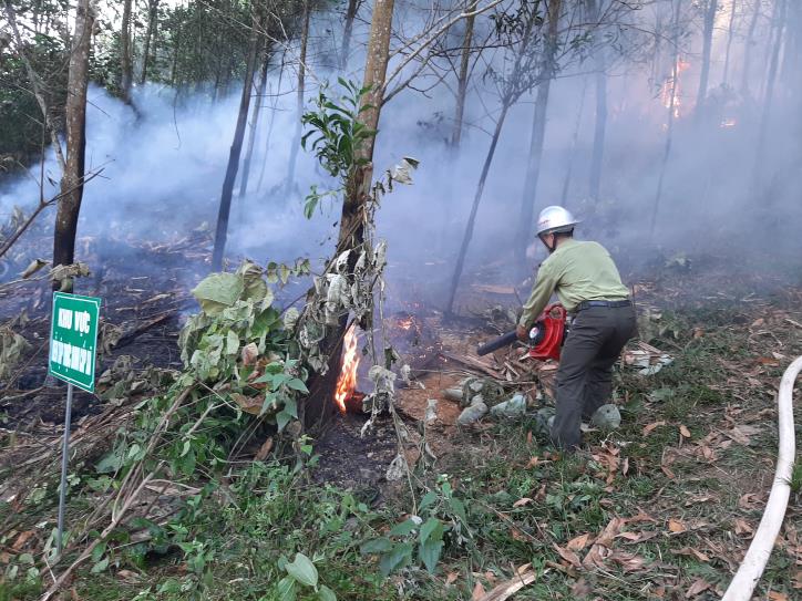 Kiên Giang cấp bách phòng cháy, chữa cháy rừng trong cao điểm mùa khô